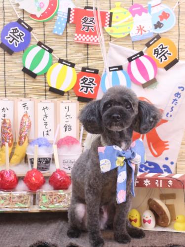 20240721ペコくん